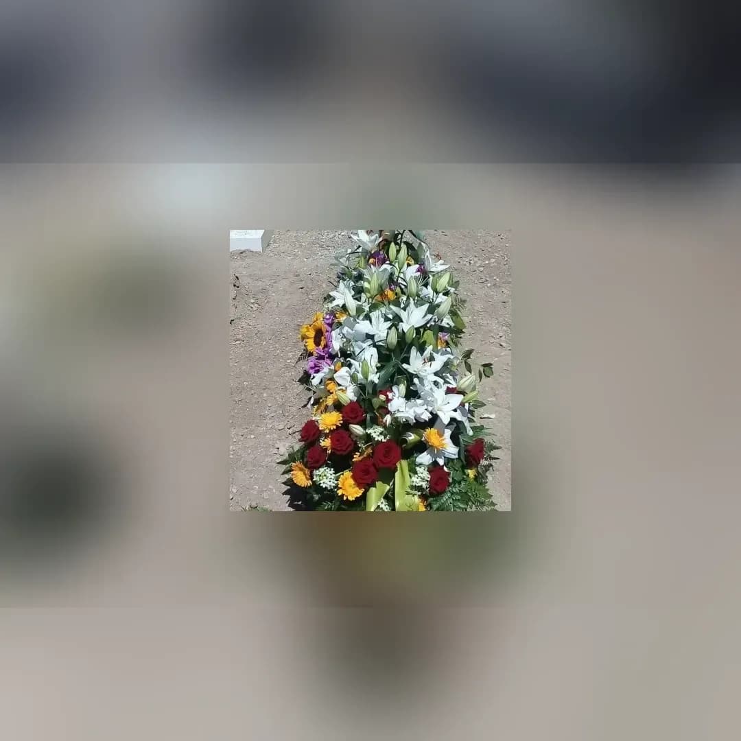 Prova di consegna FloreMoria